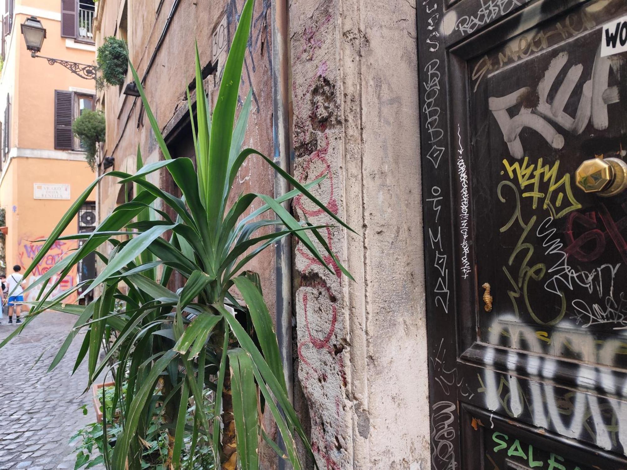 Casa Ludovica Trastevere Ρώμη Εξωτερικό φωτογραφία